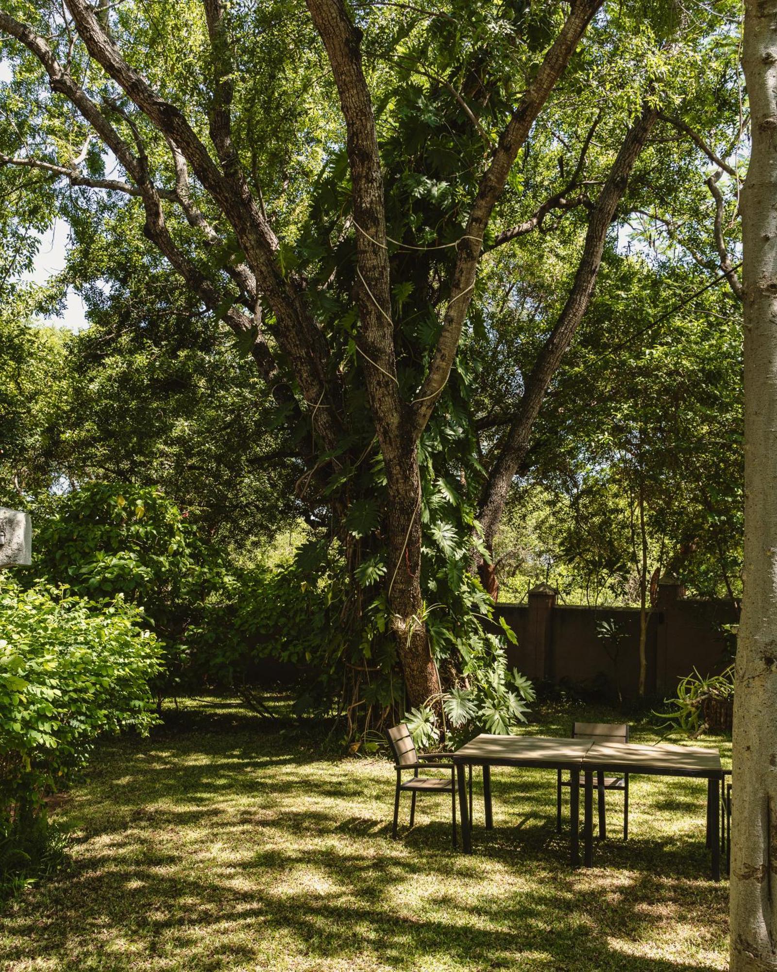 Jacaranda Lodge Victoria Falls Dış mekan fotoğraf