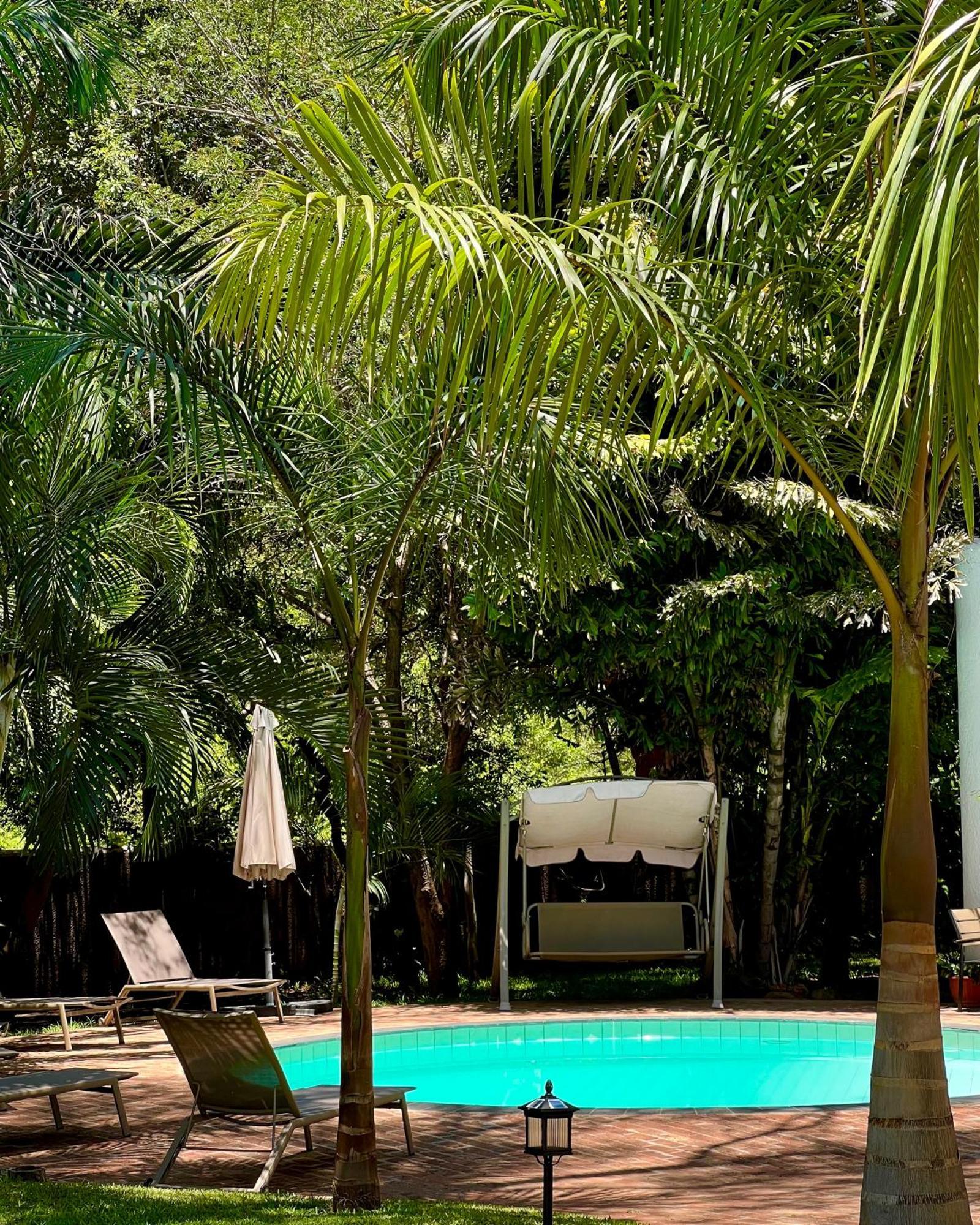 Jacaranda Lodge Victoria Falls Dış mekan fotoğraf